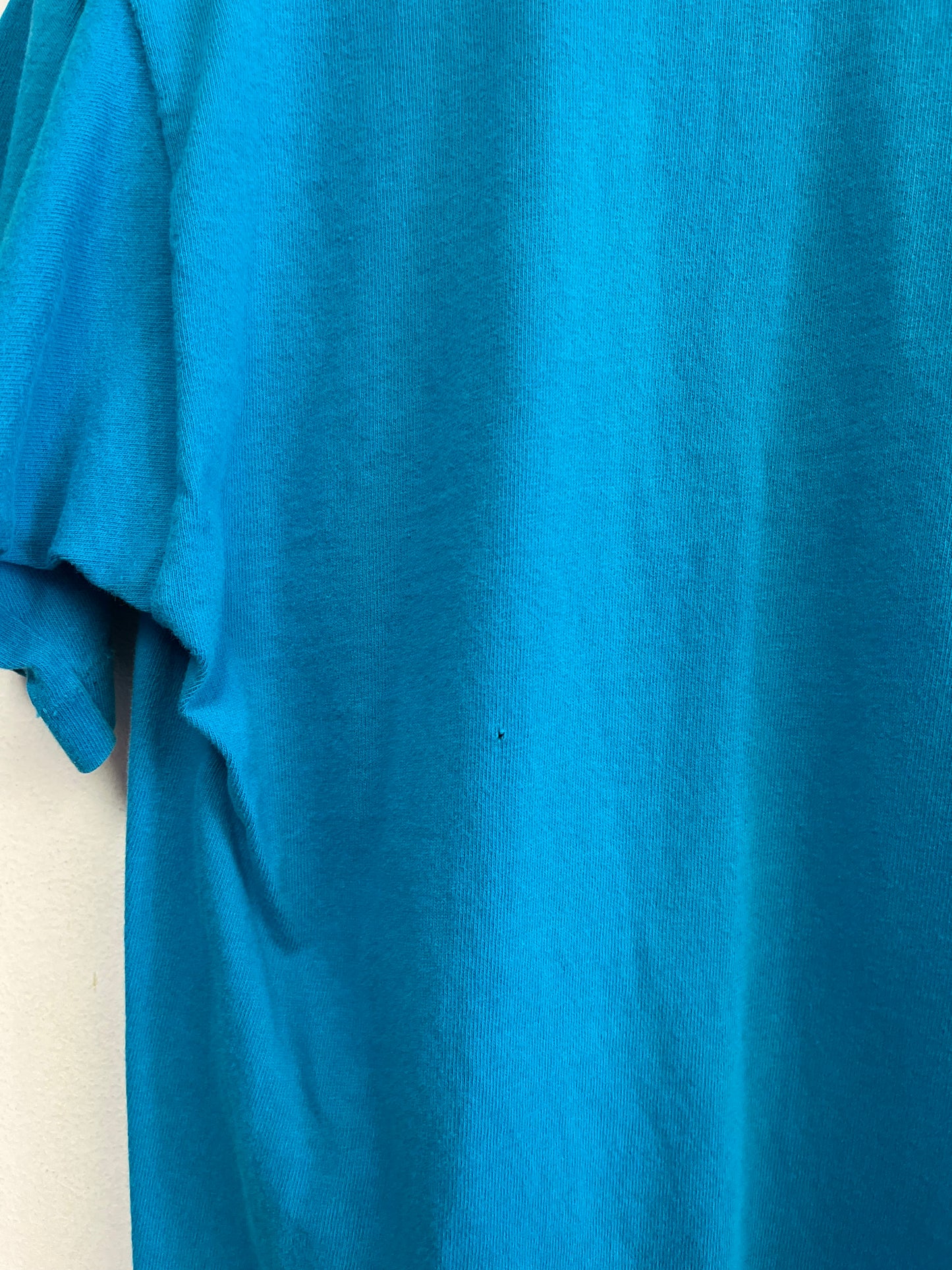 (M) 90’s Charlotte Hornets Tee