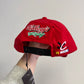 Y2K Terry Labonte NASCAR SnapBack