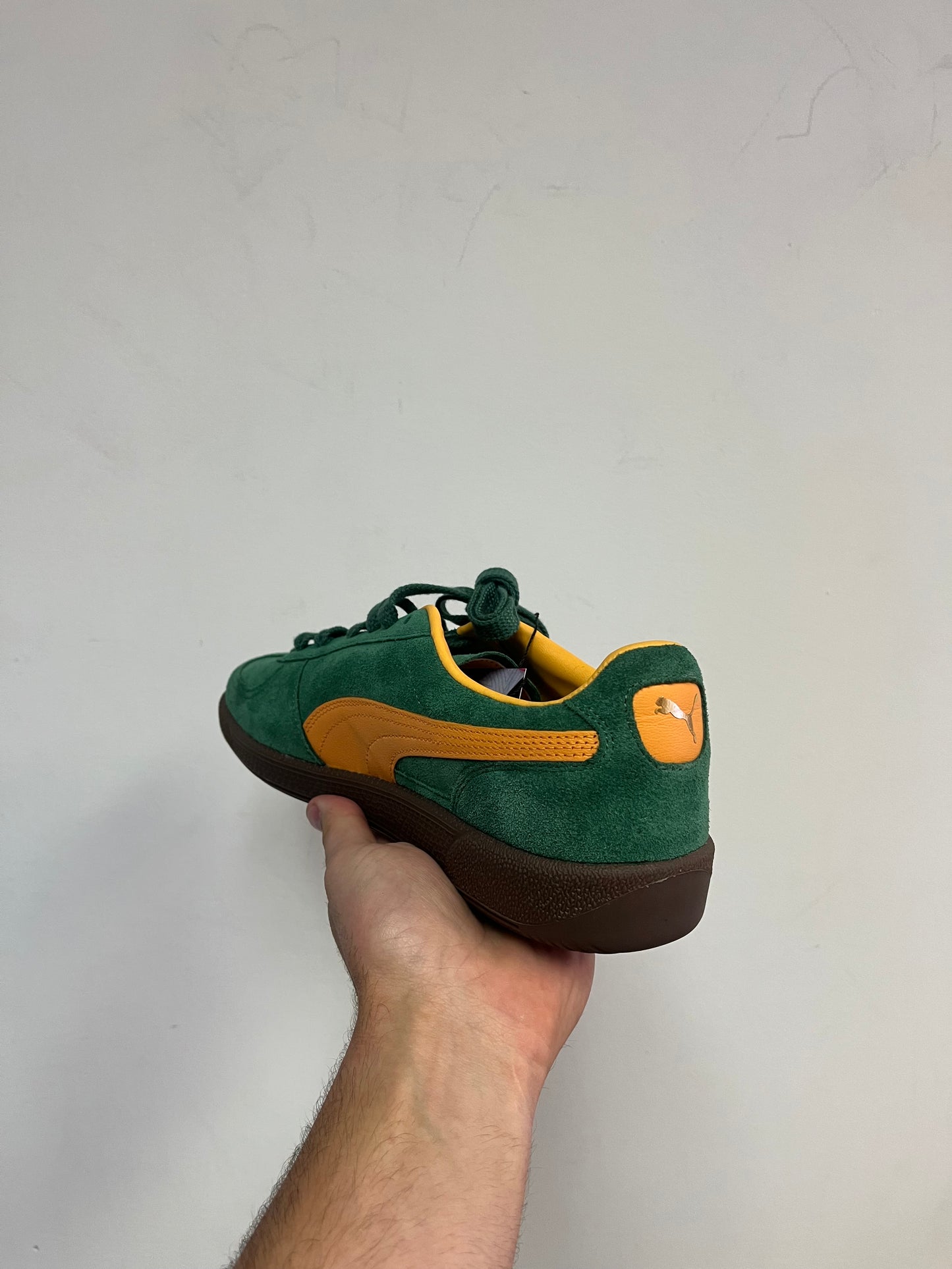 Puma Palermo