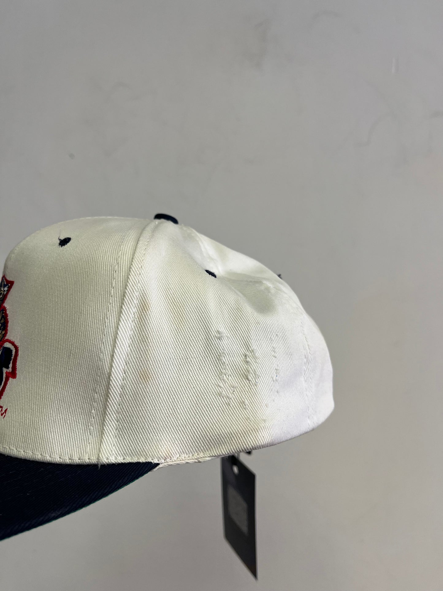 90’s Florida Panthers SnapBack