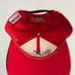 Y2K Terry Labonte NASCAR SnapBack